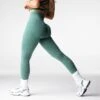 Balsam Lift Seamless Leggings -NVGTN Store DSC00102