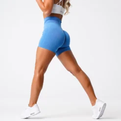 Ocean Blue Pro Seamless Shorts -NVGTN Store DSC00411