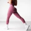 Maroon Lift Seamless Leggings -NVGTN Store DSC00432 1