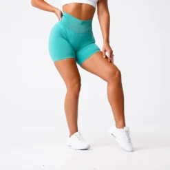 Turquoise Pro Seamless Shorts -NVGTN Store DSC00434