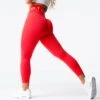 Scarlet Sport Seamless Leggings 1 Scarlet Sport Seamless Leggings -NVGTN Store DSC01157