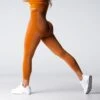 Terracotta Performance Seamless Leggings -NVGTN Store DSC02016