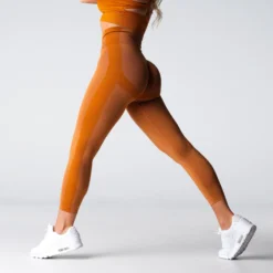 Terracotta Performance Seamless Leggings -NVGTN Store DSC02017