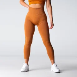Terracotta Performance Seamless Leggings -NVGTN Store DSC02018