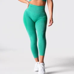 Mistletoe Contour Seamless Leggings -NVGTN Store DSC02904 f00e17c7 b971 4dc3 8b91 7a347cb6aec7