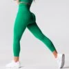 Holly Green Performance Seamless Leggings -NVGTN Store DSC02915