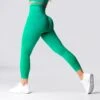 Holly Green Contour 2.0 Seamless Leggings -NVGTN Store DSC02935 57700720 f7be 4ed7 98f1 932a1461ef55