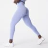 Periwinkle Curve Seamless Leggings -NVGTN Store DSC03079