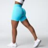 Aqua Contour Seamless Shorts -NVGTN Store DSC03670