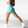 Mint Motion Seamless Shorts -NVGTN Store DSC04219