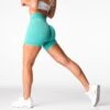 Turquoise Mid Rise Pro Seamless Shorts