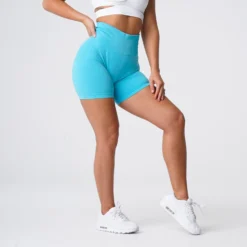 Aqua Pro Seamless Shorts -NVGTN Store DSC05646