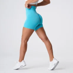 Aqua Pro Seamless Shorts -NVGTN Store DSC05647