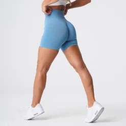 Sky Blue Pro Seamless Shorts -NVGTN Store DSC05665