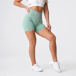 Sage Green Pro Seamless Shorts 8 Sage Green Pro Seamless Shorts -NVGTN Store DSC05709