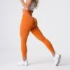Burnt Orange Contour Seamless Leggings -NVGTN Store DSC05808