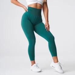 Emerald Solid Seamless Leggings -NVGTN Store DSC05871