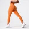 Burnt Orange Curve Seamless Leggings -NVGTN Store DSC06061