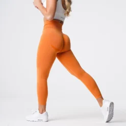 Burnt Orange Curve Seamless Leggings -NVGTN Store DSC06062