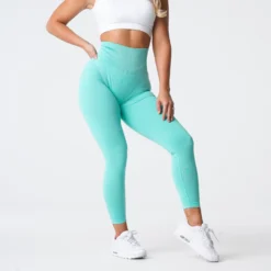 Mint NV Seamless Leggings -NVGTN Store DSC06110