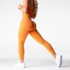 Burnt Orange Lift Seamless Leggings -NVGTN Store DSC06664