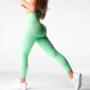 Pistachio Zesty Seamless Leggings -NVGTN Store DSC06728